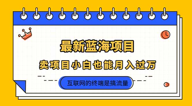 （14289期）2025年最新蓝海项目，卖项目小白也能月入过万-轻创终点站